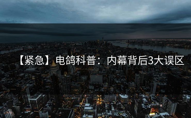 【紧急】电鸽科普：内幕背后3大误区